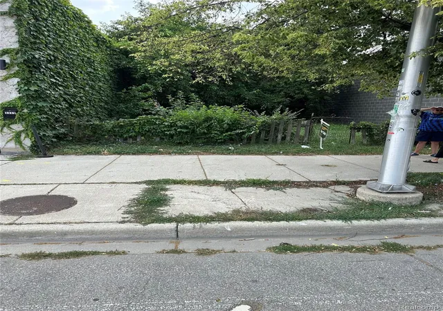 Photo 2 of Land for sale at 3423 Cass Ave, Detroit, MI 48201 | MLS# 20261054519 | Listing updated on 2026-08-17