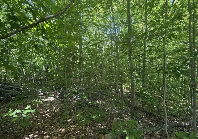 Photo 3 of Land for sale at Lots 259 & 260 Cliffmont Dr, Mancelona Township Antrim, MI 49659 | MLS# 78080071110 | Listing updated on 2026-07-18