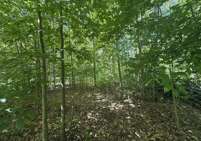 Photo 4 of Land for sale at Lots 259 & 260 Cliffmont Dr, Mancelona Township Antrim, MI 49659 | MLS# 78080071110 | Listing updated on 2026-07-18