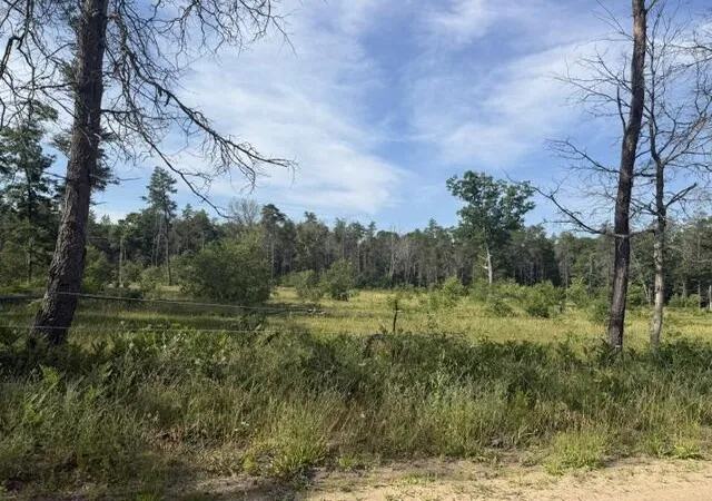 45th image of 2045 S Hill Rd, Baldwin, MI 49304 | MLS# 72026036130
