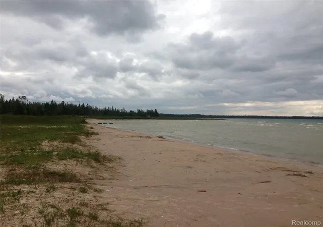 Photo 1 of Land for sale at 0000 E Wilderness Park Dr, Carp Lake, MI 49718 | MLS# 20261054612 | Listing updated on 2026-10-04