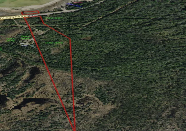 Photo 3 of Land for sale at 0000 E Wilderness Park Dr, Carp Lake, MI 49718 | MLS# 20261054612 | Listing updated on 2026-10-04