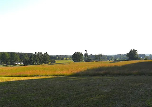 Photo 1 of Land for sale at 0 E Ritchie Rd, Lincoln, MI 48742 | MLS# 77080071124 | Listing updated on 2026-09-08