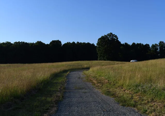 Photo 2 of Land for sale at 0 E Ritchie Rd, Lincoln, MI 48742 | MLS# 77080071124 | Listing updated on 2026-09-08