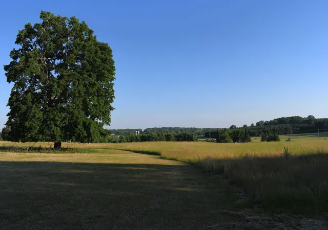Photo 3 of Land for sale at 0 E Ritchie Rd, Lincoln, MI 48742 | MLS# 77080071124 | Listing updated on 2026-09-08
