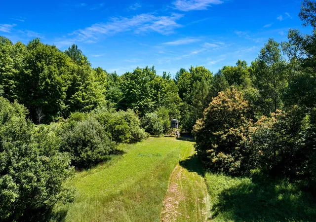 66th image of 11215 Appleridge Trl, Alden, MI 49612 | MLS# 78080071133
