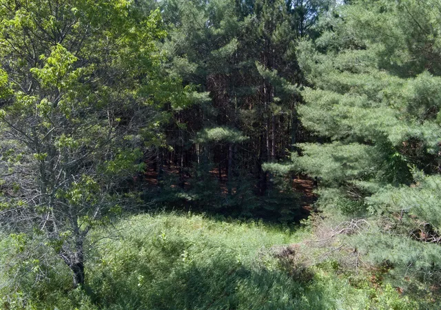 11th image of 000 Westminister Rd, Kingsley, MI 49649 | MLS# 78080071135