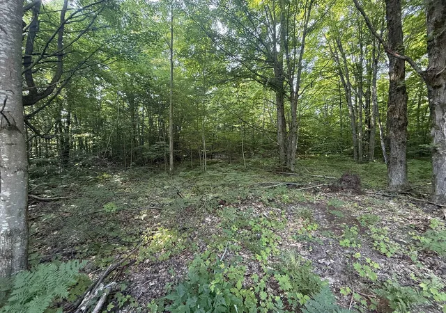 Photo 4 of Land for sale at Lots 285 & 286 Acacia Dr, Mancelona Township Antrim, MI 49659 | MLS# 78080071138 | Listing updated on 2026-07-19