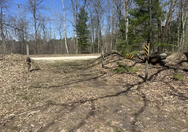 99th image of 604 Beaver Rd, Bitely, MI 49309 | MLS# 72026036341
