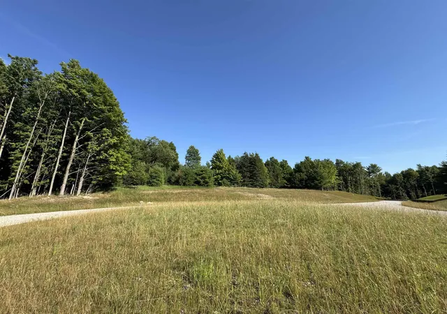 Photo 1 of Land for sale at Lot E #6 Bellinger Rd, Cedar, MI 49621 | MLS# 78080071178 | Listing updated on 2026-07-19