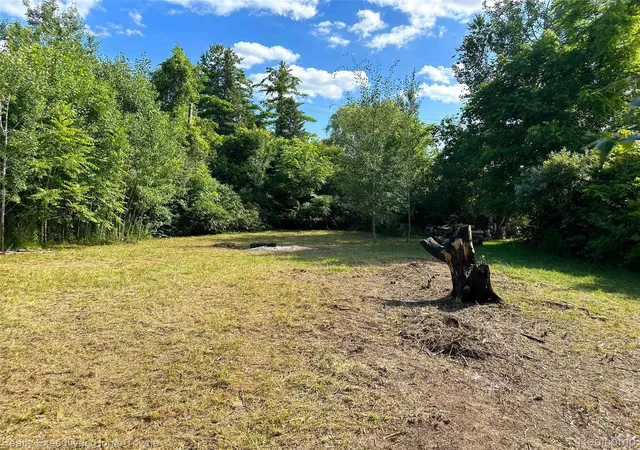 Photo 3 of Land for sale at 7266 Southwood Rd, Lexington, MI 48450 | MLS# 20261055046 | Listing updated on 2026-07-24