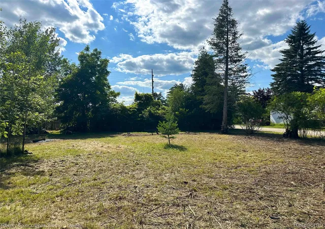 Photo 4 of Land for sale at 7266 Southwood Rd, Lexington, MI 48450 | MLS# 20261055046 | Listing updated on 2026-07-24