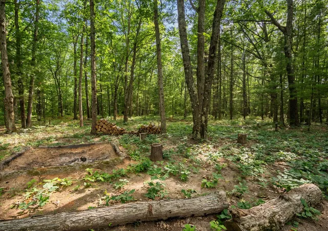Photo 1 of Land for sale at Lots 137 & 138 Tabor Ave, Grant Township Grand Traverse, MI 49643 | MLS# 78080071182 | Listing updated on 2026-07-19