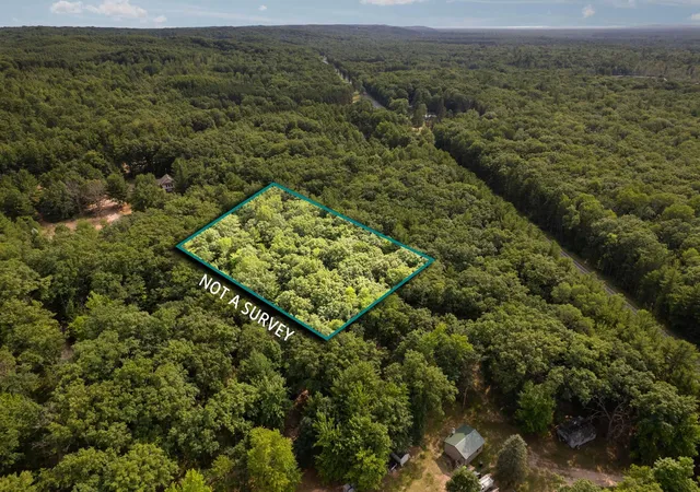 Photo 3 of Land for sale at Lots 137 & 138 Tabor Ave, Grant Township Grand Traverse, MI 49643 | MLS# 78080071182 | Listing updated on 2026-07-19