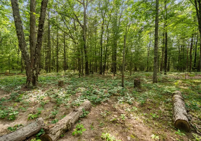 Photo 4 of Land for sale at Lots 137 & 138 Tabor Ave, Grant Township Grand Traverse, MI 49643 | MLS# 78080071182 | Listing updated on 2026-07-19