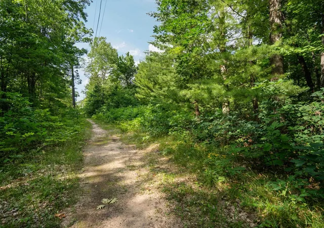 Photo 4 of Land for sale at Lots 89 & 90 Beroun Ave, Grant Township Grand Traverse, MI 49643 | MLS# 78080071183 | Listing updated on 2026-07-19