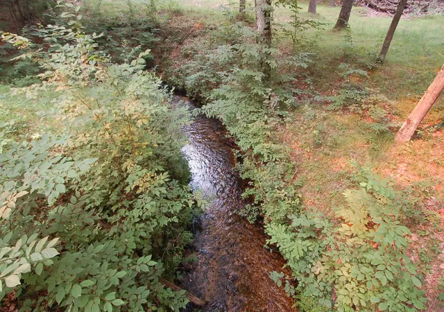 3rd image of 930 Seaton Creek Rd, Mesick, MI 49668 | MLS# 78080071186