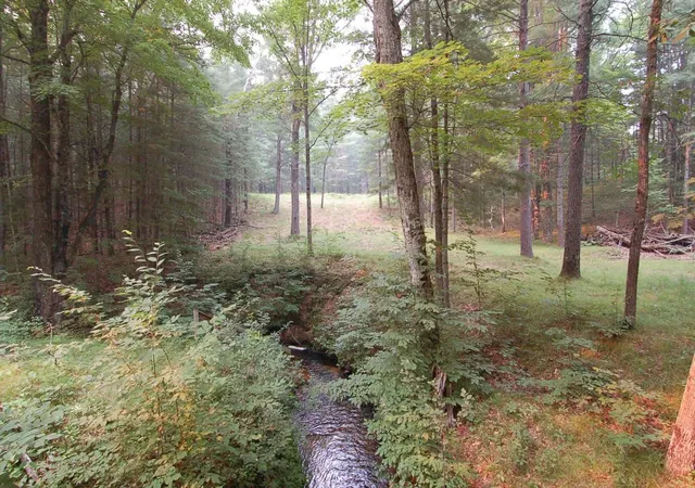 5th image of 930 Seaton Creek Rd, Mesick, MI 49668 | MLS# 78080071186