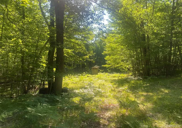 22nd image of 5107 Hunters Run Dr, Saint Helen, MI 48656 | MLS# 20261055154