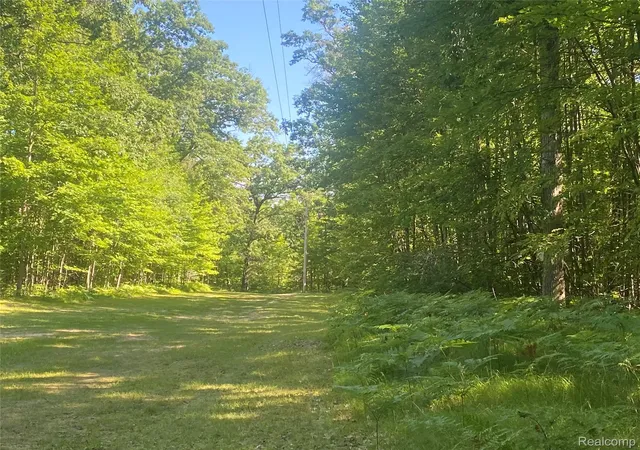 4th image of 5107 Hunters Run Dr, Saint Helen, MI 48656 | MLS# 20261055154