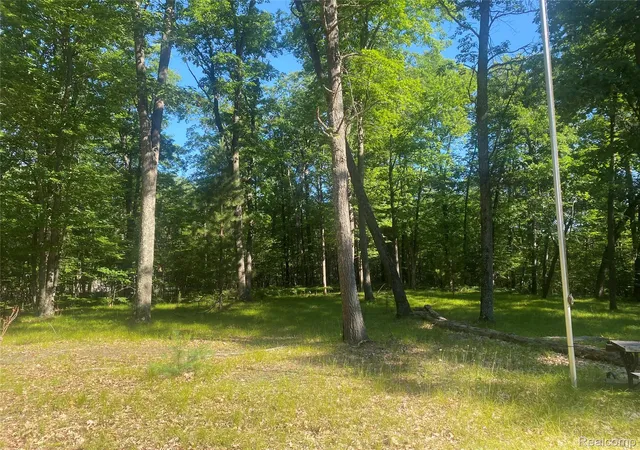 5th image of 5107 Hunters Run Dr, Saint Helen, MI 48656 | MLS# 20261055154