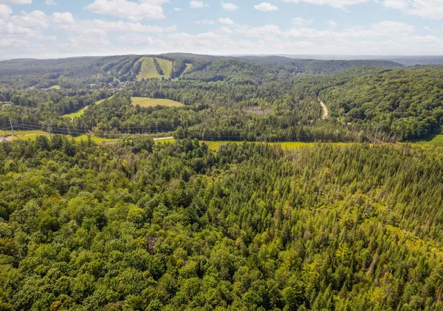 1st image of Parcels A & B Schuss Mountain Rd, Custer Township Antrim, MI 49659 | MLS# 78080071204
