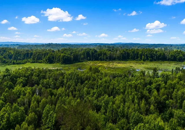 24th image of 000 Owl Dr, Roscommon Township Roscommon, MI 48629 | MLS# 77080071218