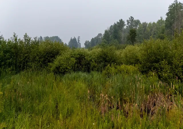 4th image of 000 Owl Dr, Roscommon Township Roscommon, MI 48629 | MLS# 77080071218