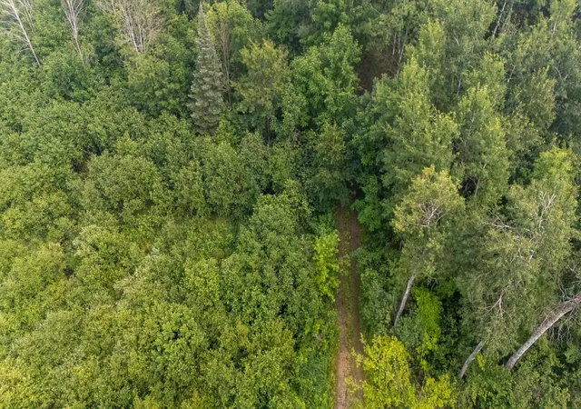 5th image of 000 Owl Dr, Roscommon Township Roscommon, MI 48629 | MLS# 77080071218