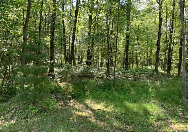 2nd image of Nka Fairway, Standish Township Arenac, MI 48658 | MLS# 77080071228