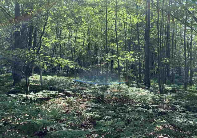 3rd image of Nka Fairway, Standish Township Arenac, MI 48658 | MLS# 77080071228