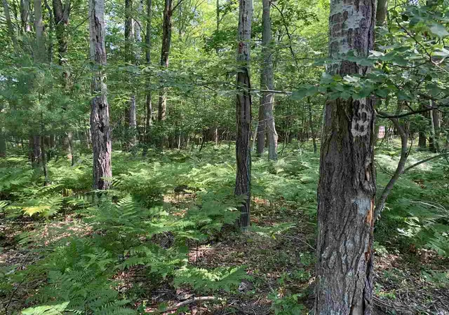 5th image of Nka Fairway, Standish Township Arenac, MI 48658 | MLS# 77080071228