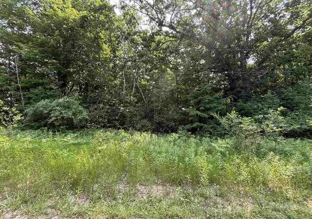 1st image of V/l White Birch Dr, Grant Township Clare, MI 48625 | MLS# 78080071231
