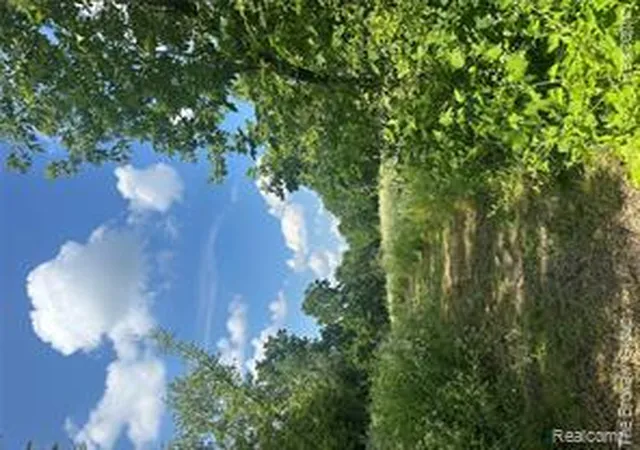 Photo 2 of Land for sale at 15451 Lakeview Park Dr, Fenton Charter Township Genesee, MI 48423 | MLS# 20261055574 | Listing updated on 2026-07-19