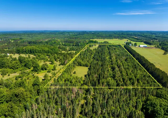 Photo 3 of Land for sale at 653 W Elder Rd, Mancelona, MI 49659 | MLS# 78080071236 | Listing updated on 2026-09-03