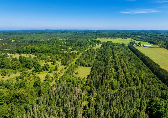 Photo 4 of Land for sale at 653 W Elder Rd, Mancelona, MI 49659 | MLS# 78080071236 | Listing updated on 2026-09-03