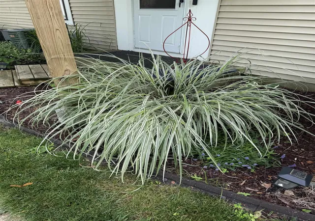 Photo 2 of Condo for sale at 1093 Green Meadows Dr, Grand Blanc, MI 48439 | MLS# 5050215416 | Listing updated on 2026-09-15