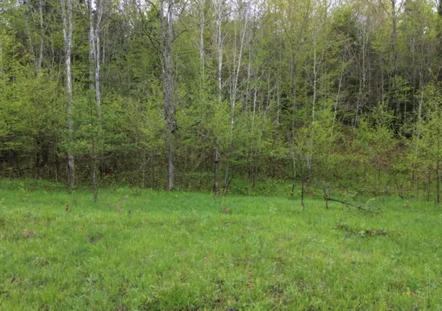 Photo 3 of Land for sale at Vl Brookwood Dr, Jordan Township Antrim, MI 49727 | MLS# 78080071248 | Listing updated on 2026-09-05