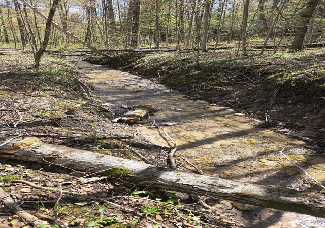 Photo 4 of Land for sale at Vl Brookwood Dr, Jordan Township Antrim, MI 49727 | MLS# 78080071248 | Listing updated on 2026-09-05