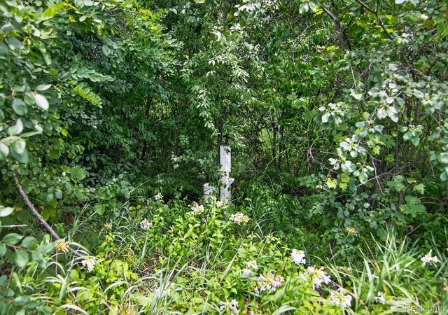 Photo 4 of Land for sale at 9041 Mirage Lake Dr, Milan, MI 48160 | MLS# 20261055731 | Listing updated on 2026-07-25