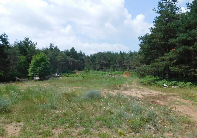 30th image of 11880 Pine Cvs, Kingsley, MI 49649 | MLS# 64026037160