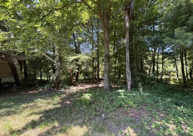 Photo 3 of Single family home for sale at 2237 Ranae St, Croswell, MI 48422 | MLS# 58050215515 | Listing updated on 2026-07-20