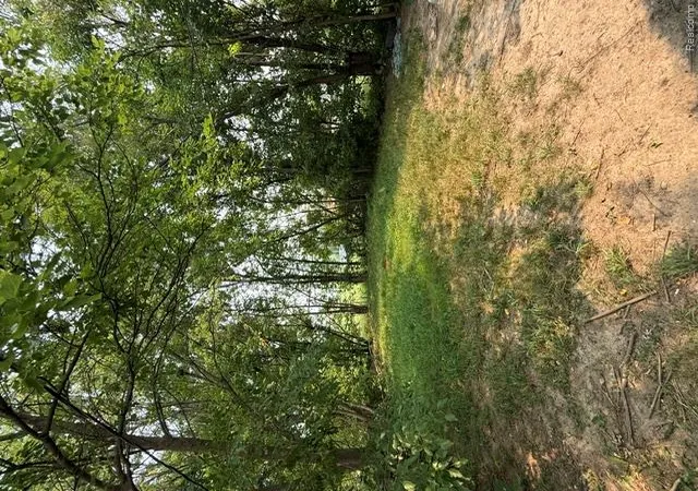 Photo 4 of Single family home for sale at 14445 Alma St, Detroit, MI 48205 | MLS# 20261056051 | Listing updated on 2026-10-06