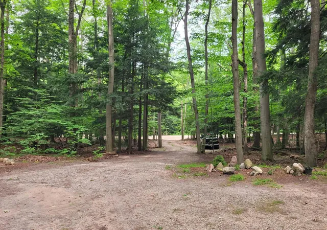2nd image of 257 W Forest Trl, Leroy, MI 49655 | MLS# 78080071295