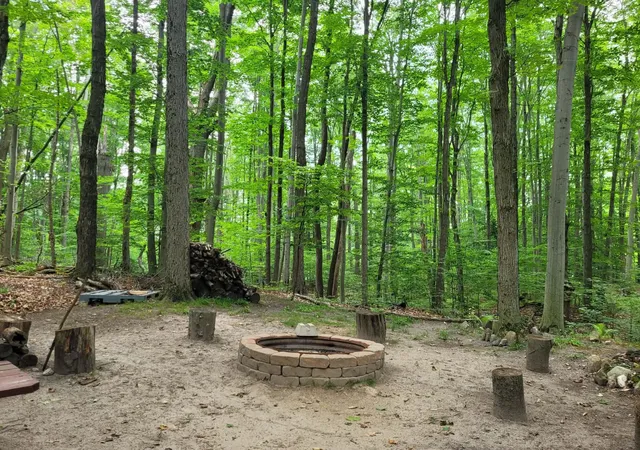 3rd image of 257 W Forest Trl, Leroy, MI 49655 | MLS# 78080071295