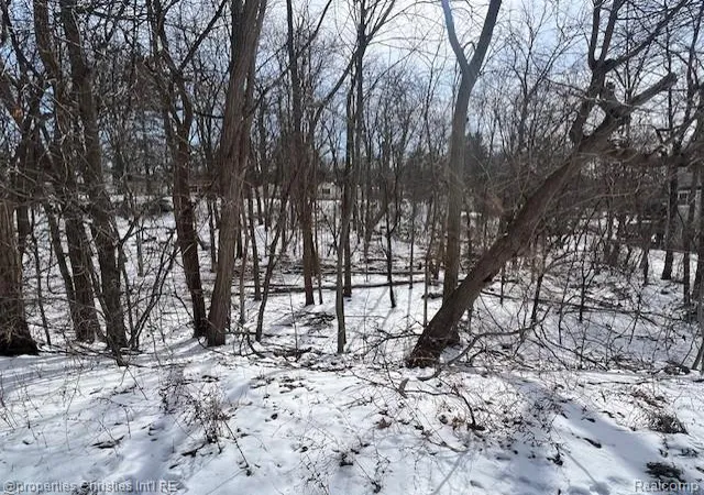 1st image of 439 Alberta Street Lot 80, Auburn Hills, MI 48326 | MLS# 20261056308