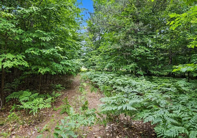 5th image of Lot 308 Goshawk Wy, Bellaire, MI 49615 | MLS# 78080071309
