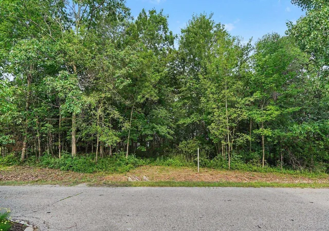 Photo 4 of Land for sale at Tbd Buckthorn St, Union Charter Township Isabella, MI 48858 | MLS# 79080071310 | Listing updated on 2026-08-27