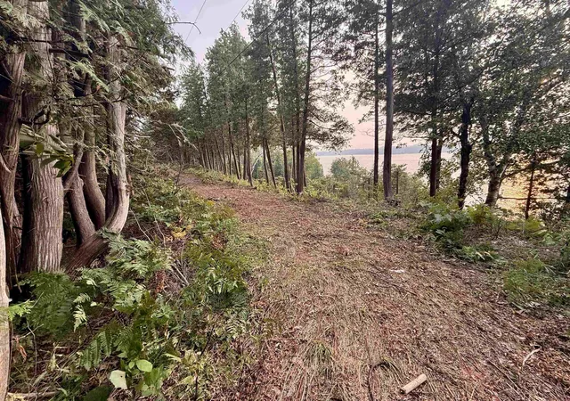 16th image of Lot 30 & 31 N Lake Leelanau Dr, Leland Township Leelanau, MI 49653 | MLS# 78080071317