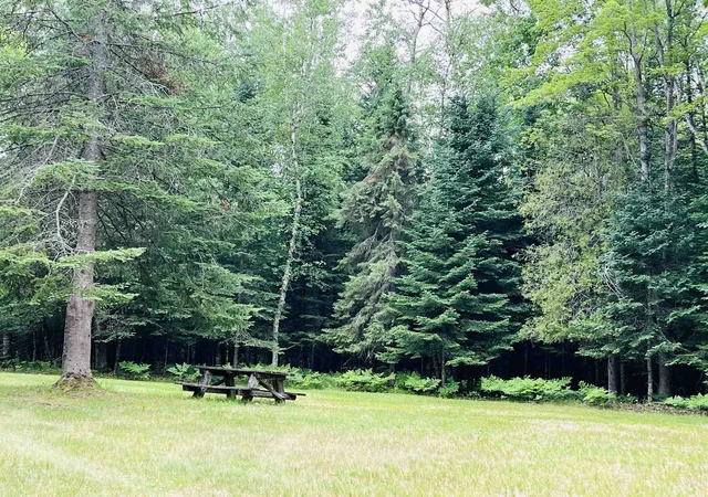 14th image of Old M 66, Garfield Township Kalkaska, MI 49633 | MLS# 78080071322